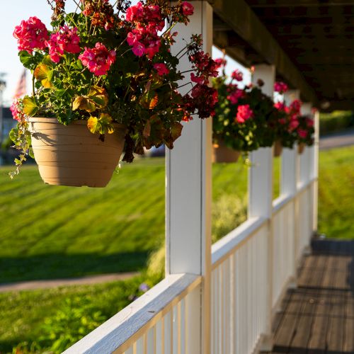 Hanging pots with vibrant red flowers decorate a wooden porch, which overlooks a green lawn on a sunny day.