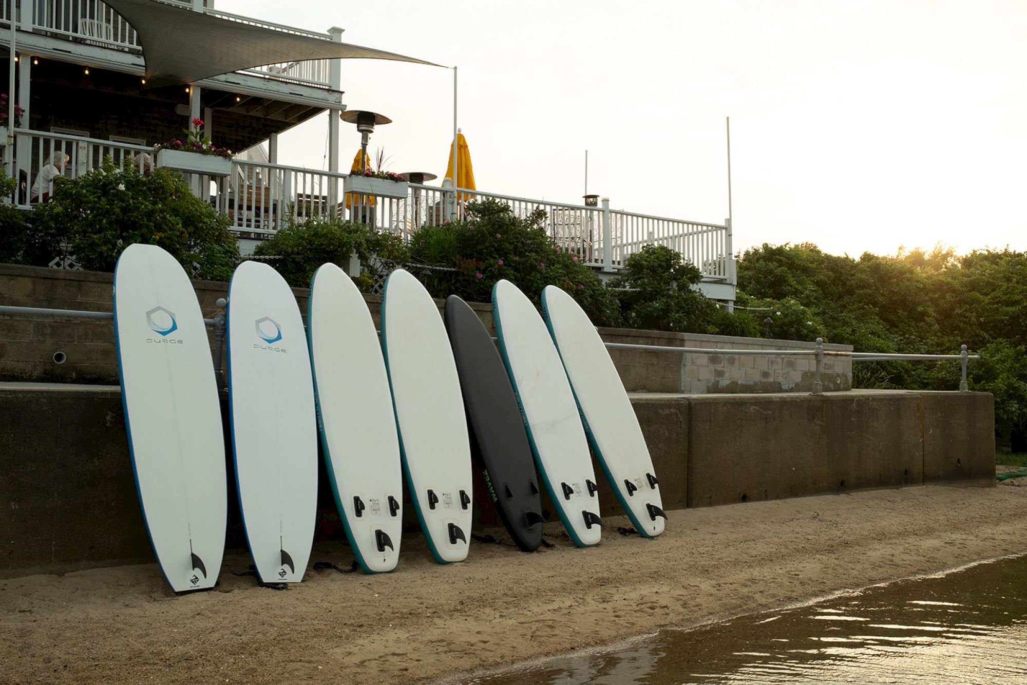 Several surfboards are lined up on a sandy shore near water, with a building and greenery in the background.