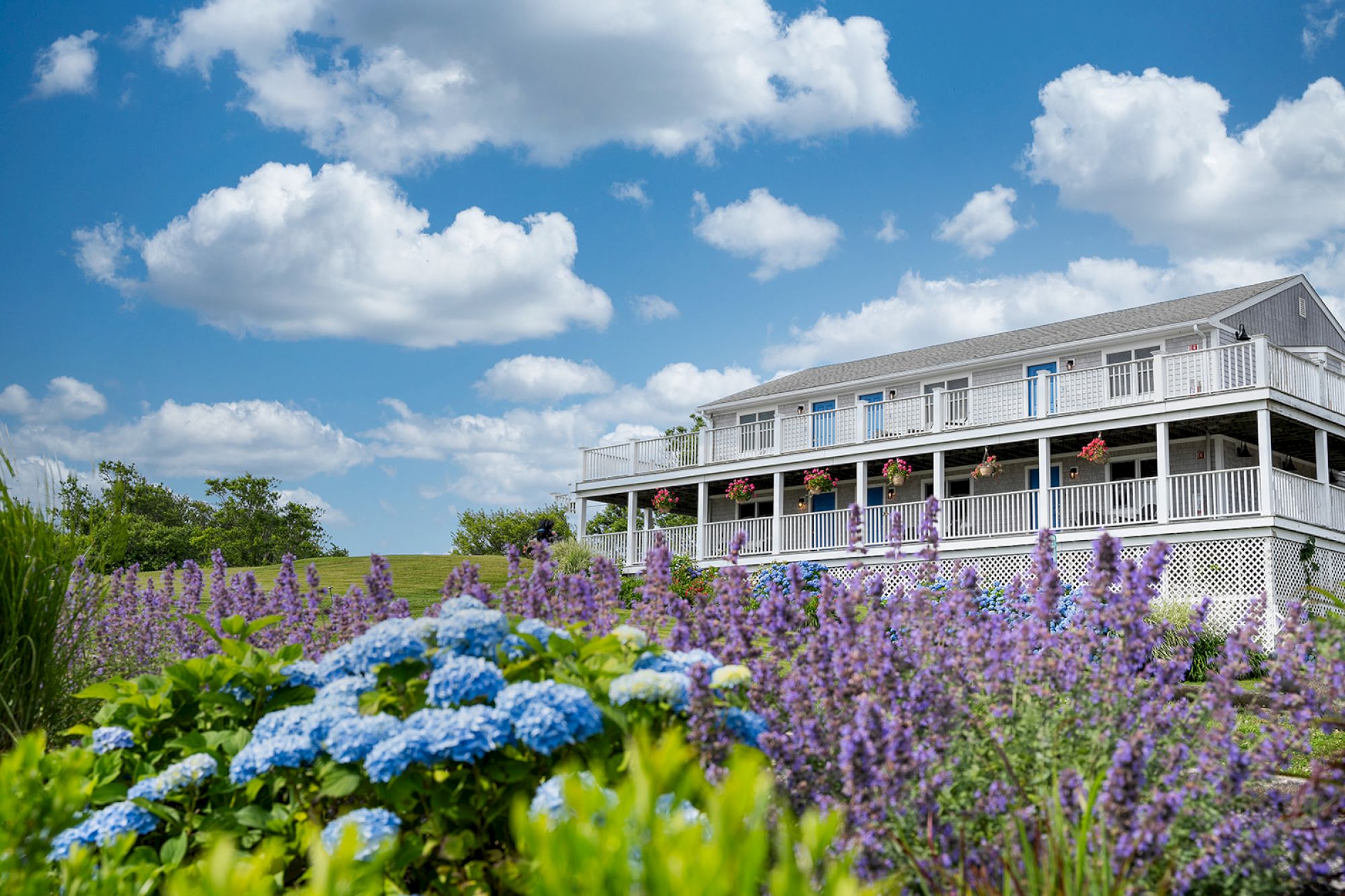 A large house with a wraparound veranda, surrounded by vibrant blue and purple flowers and a lush garden under a blue sky with scattered clouds.