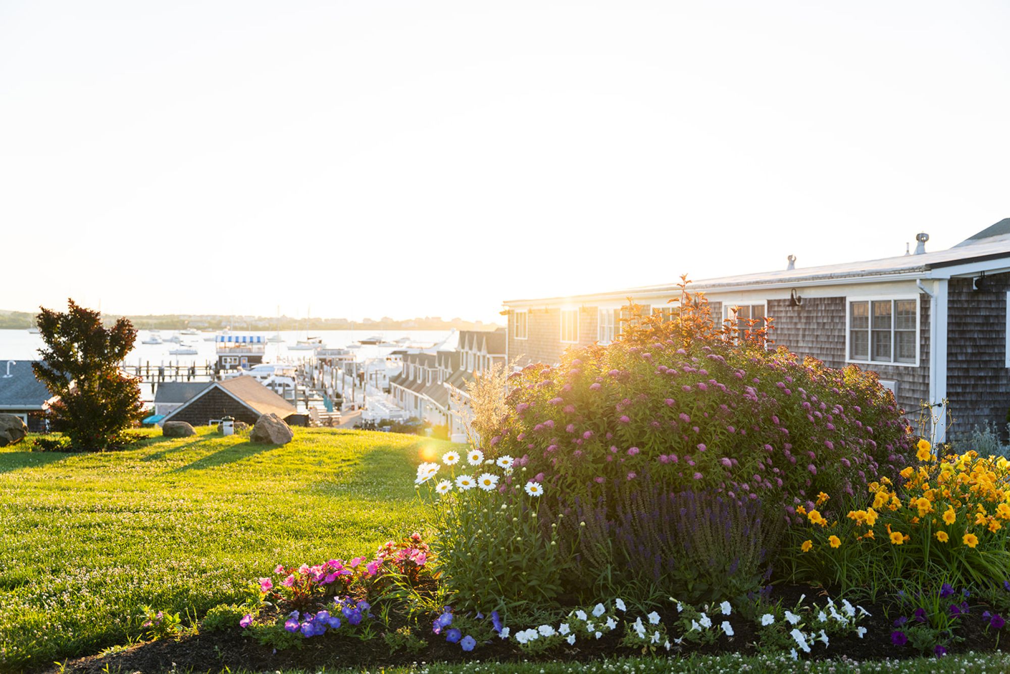 A beautiful garden with colorful flowers in the foreground and seaside cottages overlooking a harbor at sunset in the background.